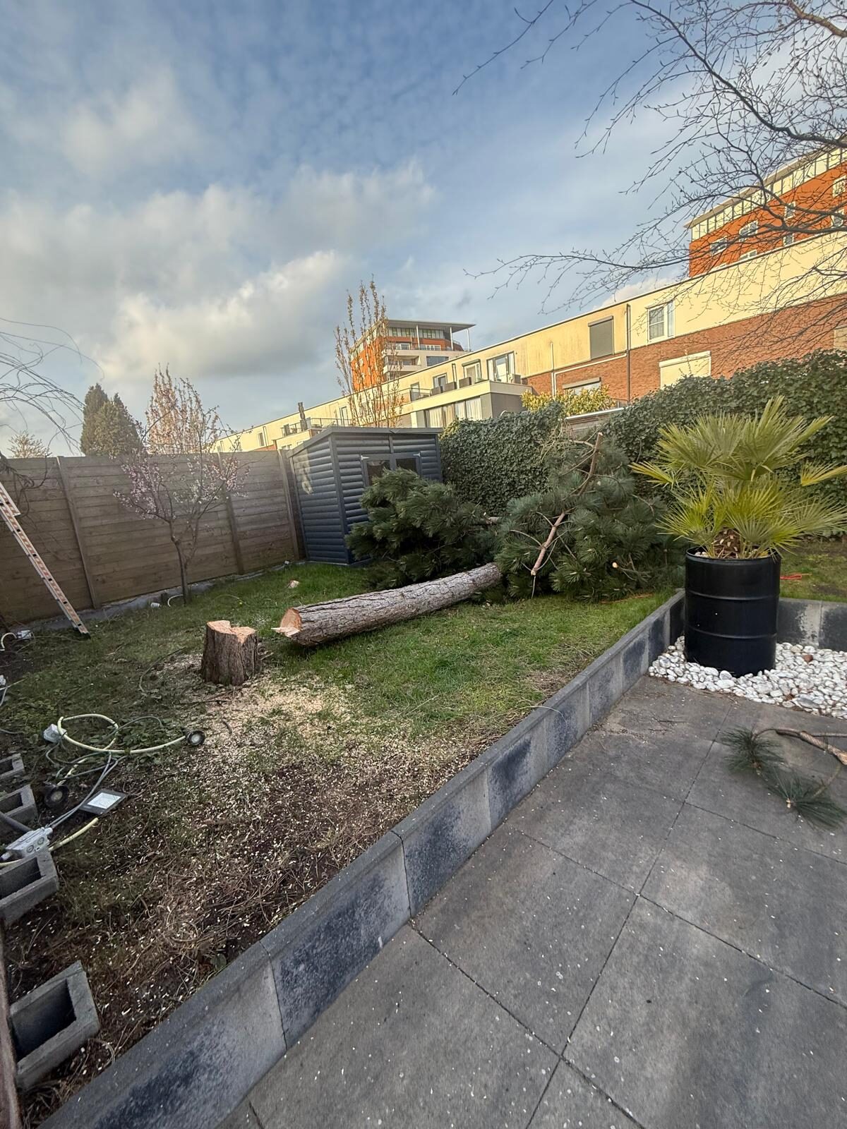 Abattage d’un arbre dans le jardin de derrière, Nieuwegein et environs