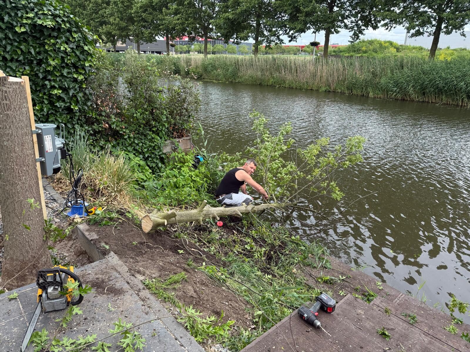 Abattage d’un arbre au bord de l’eau, Nieuwegein et environs