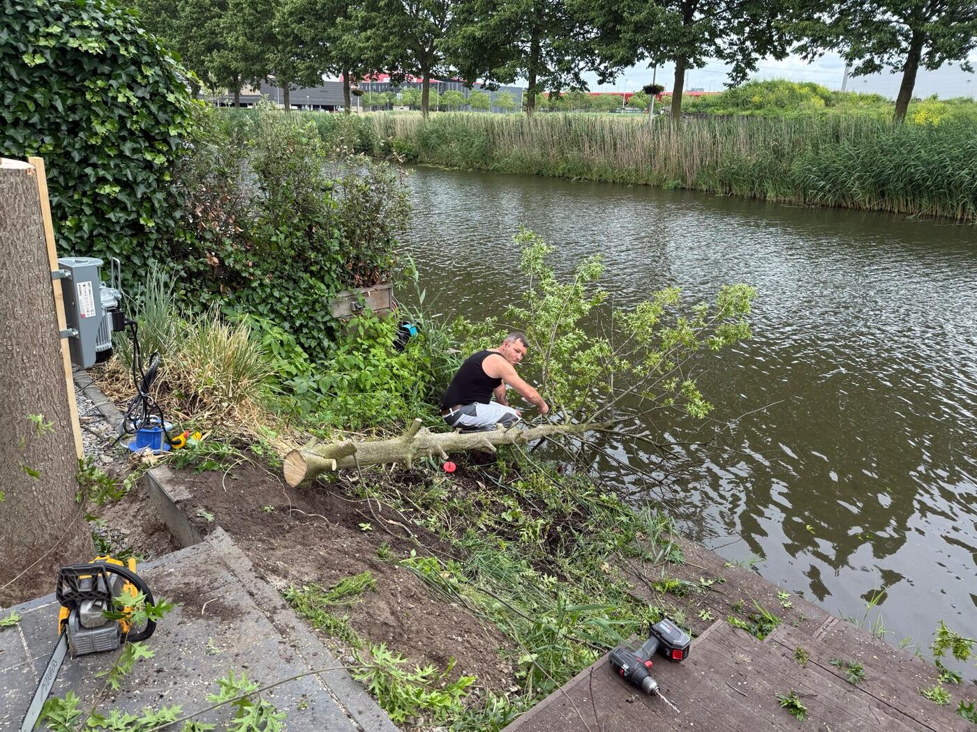 Abattage d’un arbre au bord de l’eau à Nieuwegein et environs, photo 3 sur 4