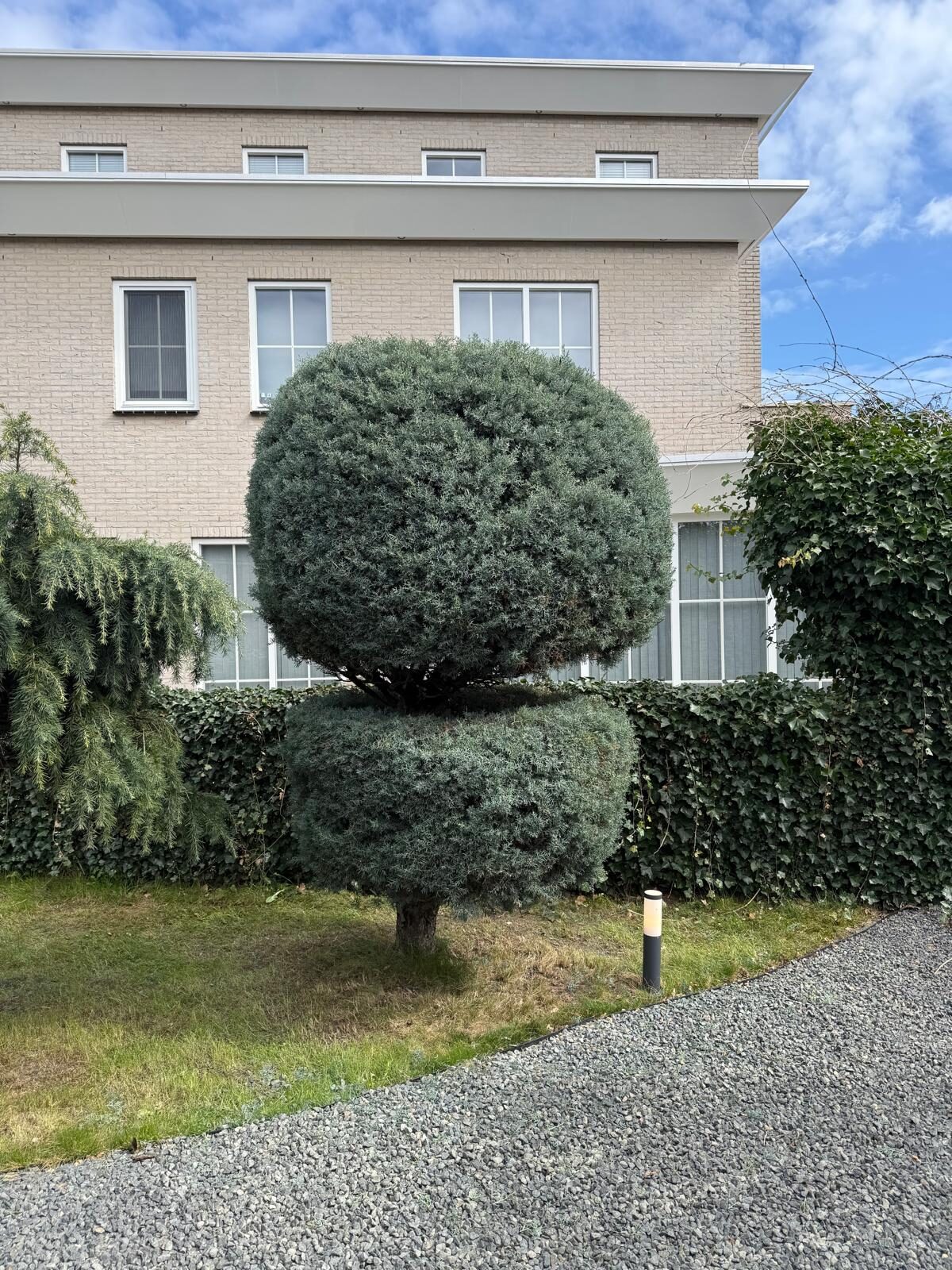 Taille ornementale et entretien des arbres dans le jardin de devant, Nieuwegein et environs