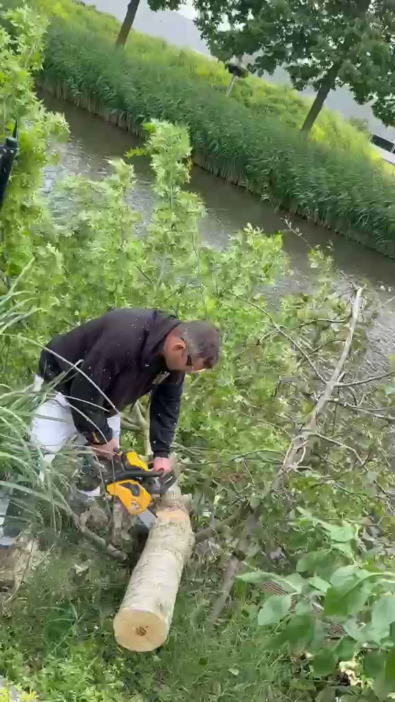Visite en vidéo de Abattage d’un arbre au bord de l’eau à Nieuwegein et environs